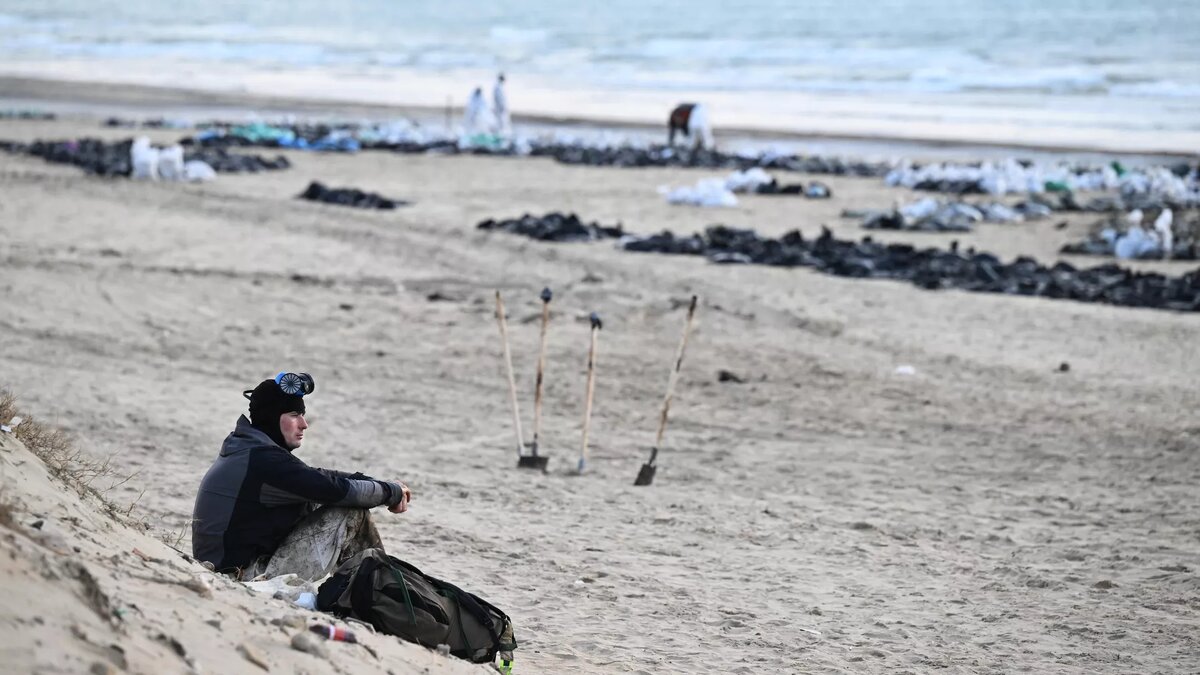 Фото: РИА Новости / Алексей Майшев