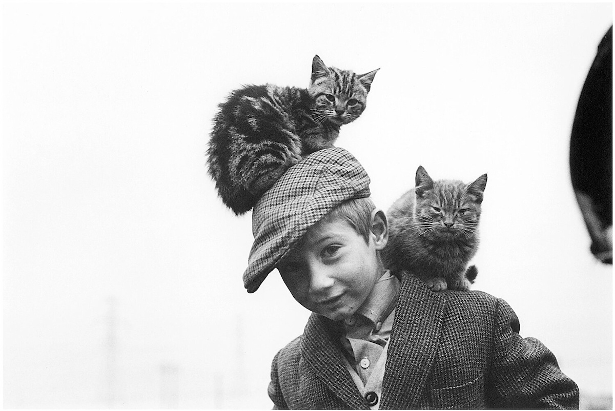 Фото:  Alen Macweeney