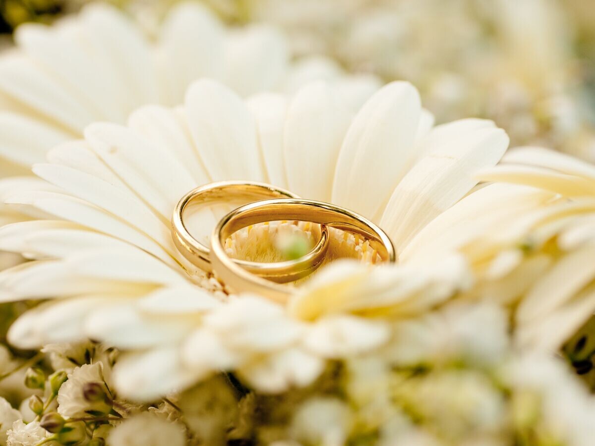    Обручальные кольца© Fotolia / Tobilander