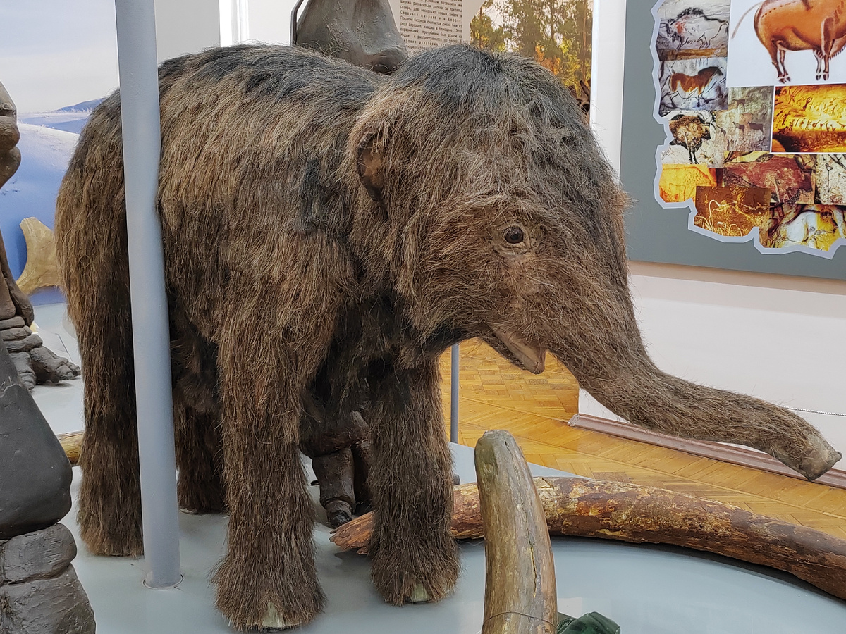 Астраханский музей-заповедник.