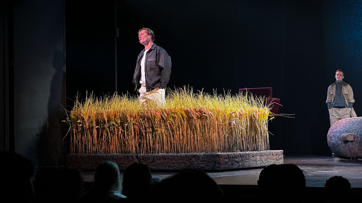 Фото сцены спектакля "Калина красная". Михаил М.-Энгельс