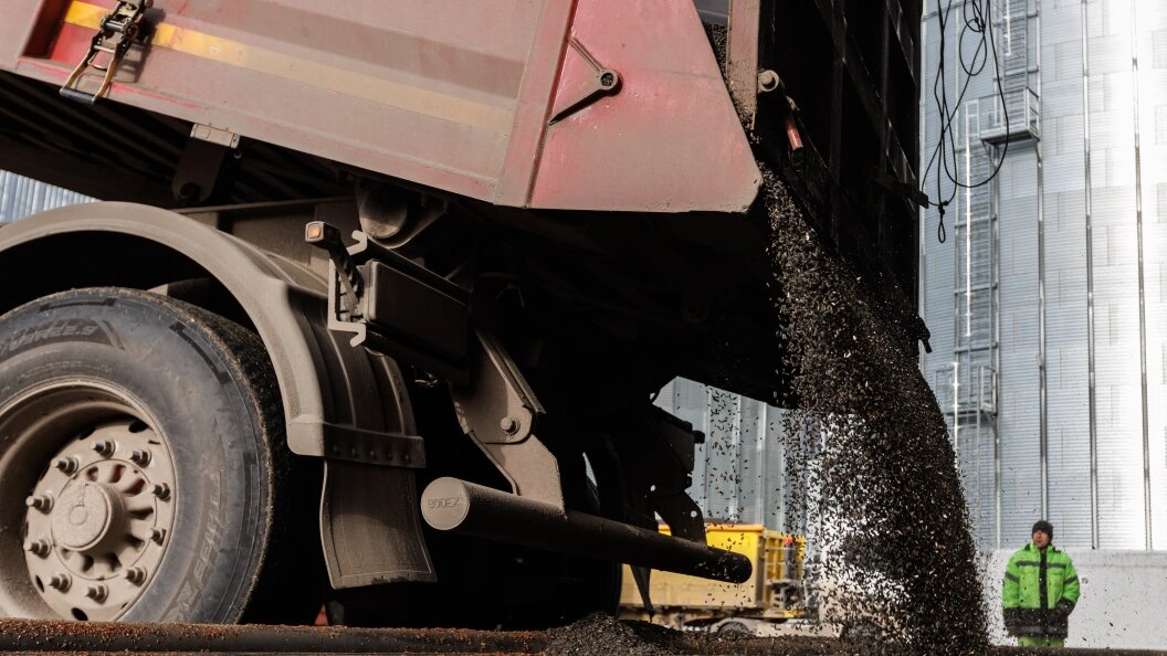    фото: Sergey Elagin/Business Online