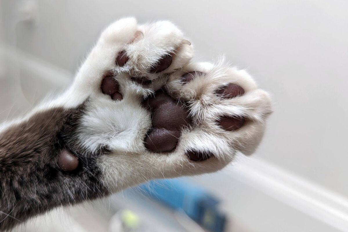 1 удар – 6 ран. Страшно...