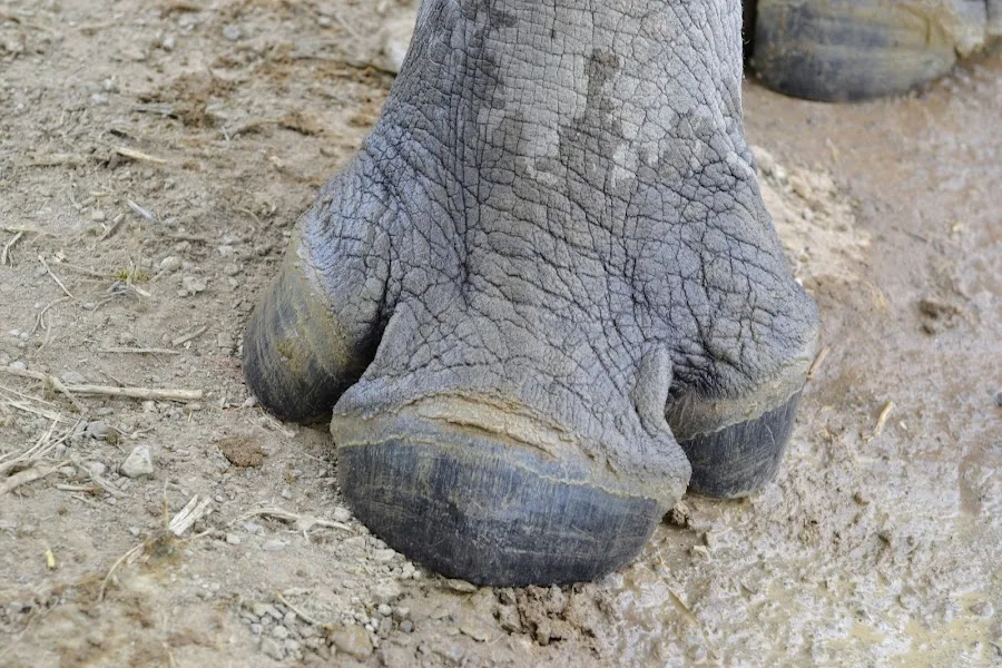 Интересно, а на маникюре им бы сделали скидочку? 