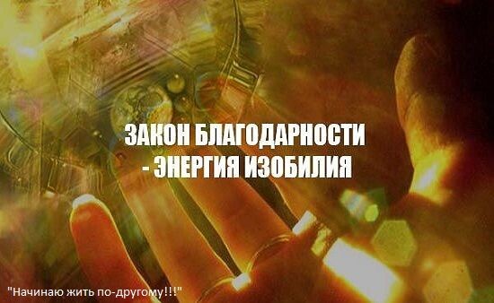 Фото взято с открытых источников