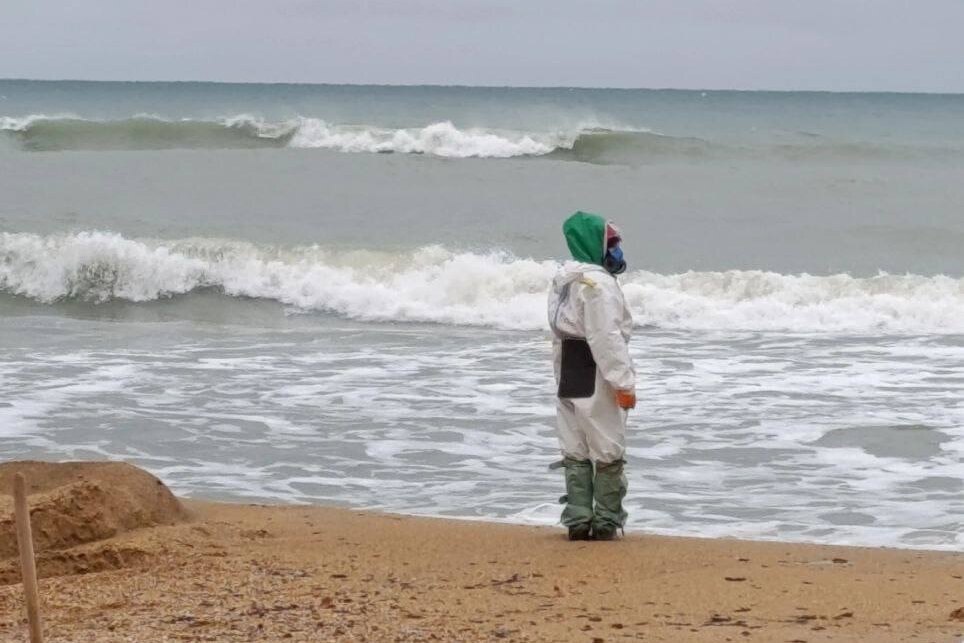     Черное море все: туроператоры назвали альтернативы Анапе