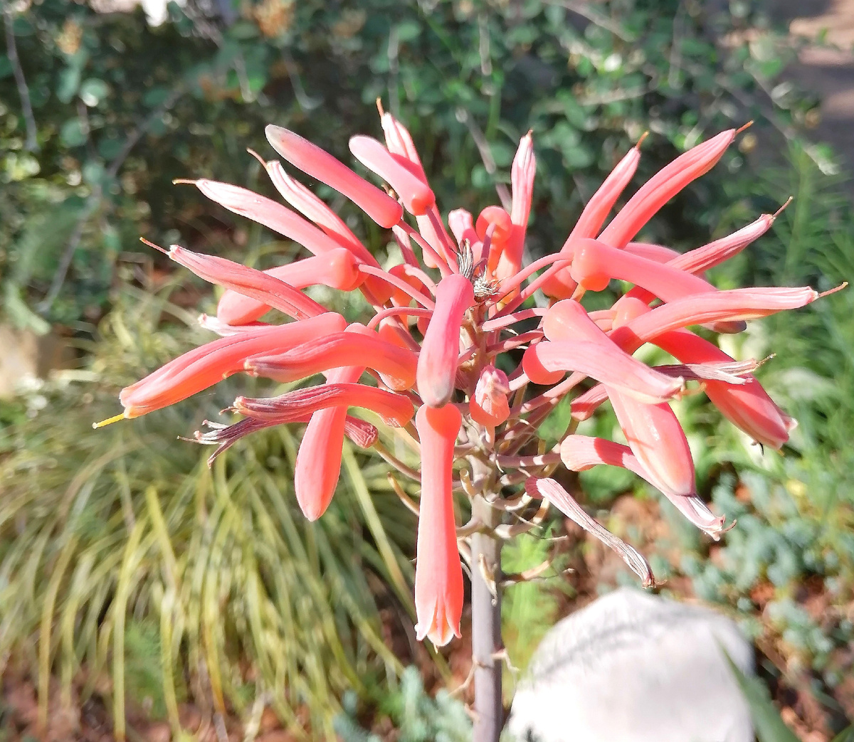  (фото: ©Г.Шаронина)