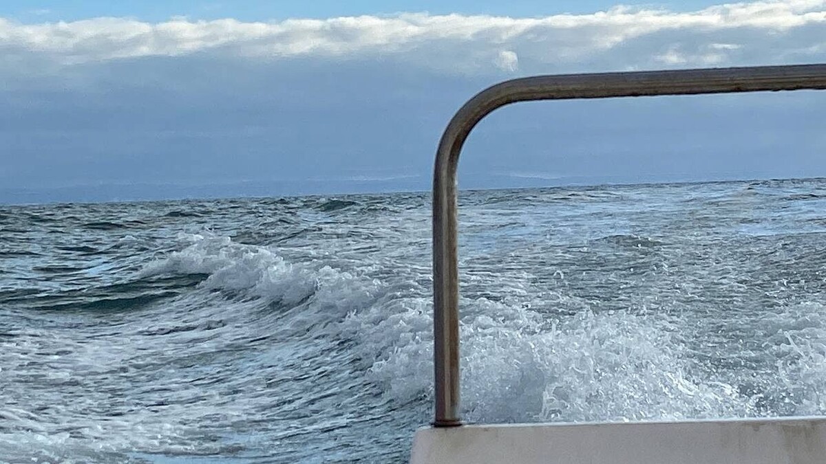    Фото: телеканал «Краснодар»