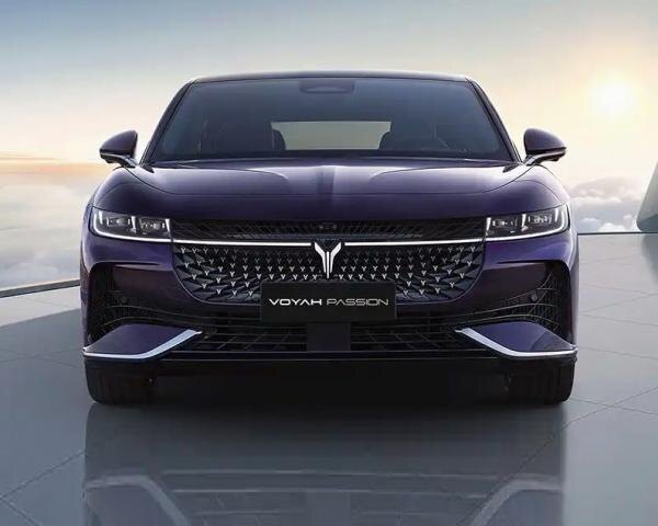     Voyah Passion. Фото Voyah