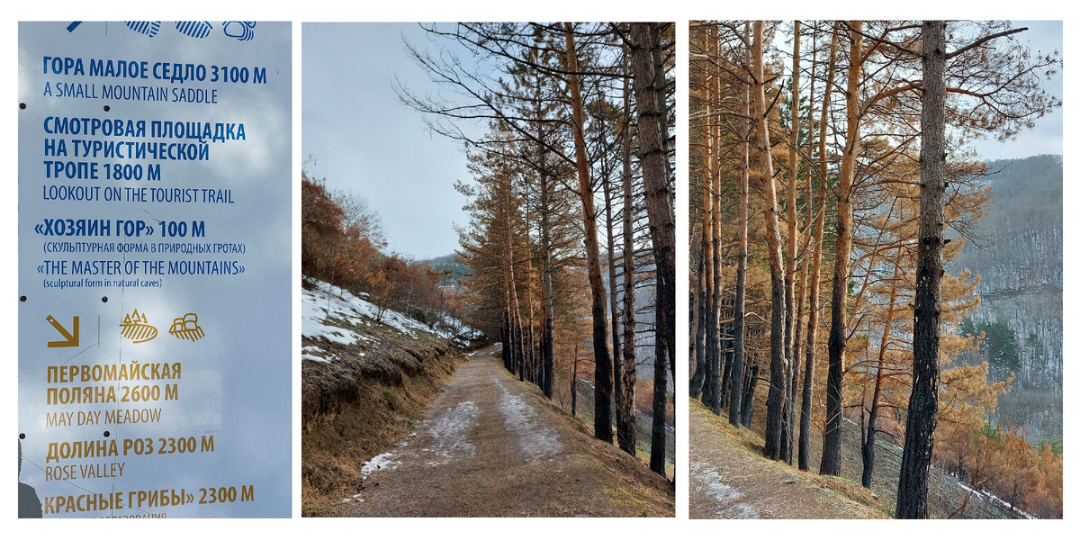 Указатель в начале туристической тропы, начало тропы и обугленные стволы сосен в начале тропы (следы пожара, прошедшего здесь осенью 2024 года) 