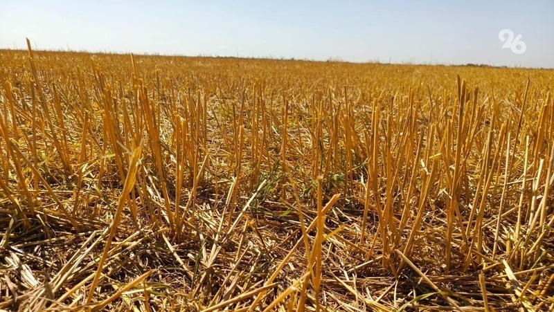      Фото: ИА «Победа26»