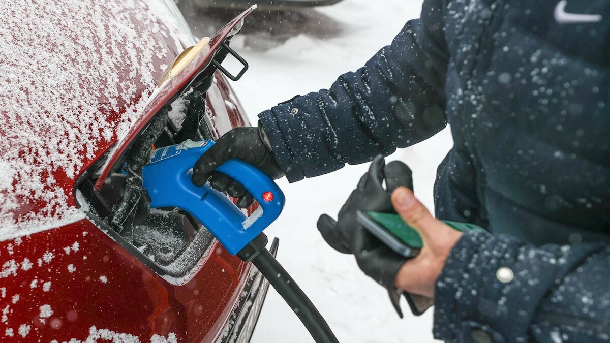    Фото: Bulkin Sergey/news.ru