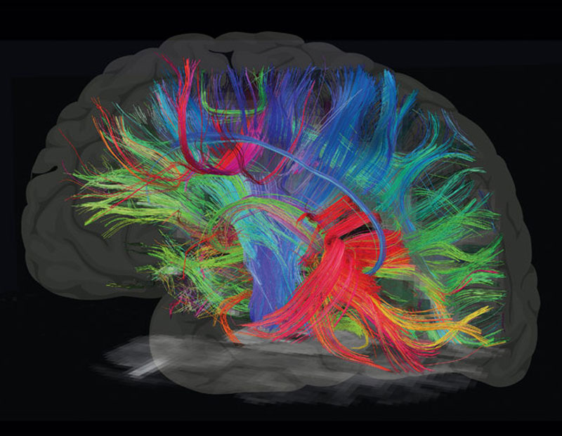 (из открытого источника)