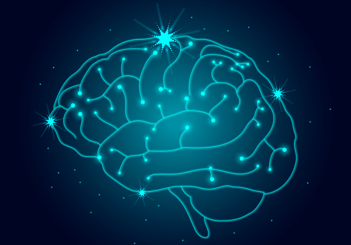 Мозг человека (художественное представление)