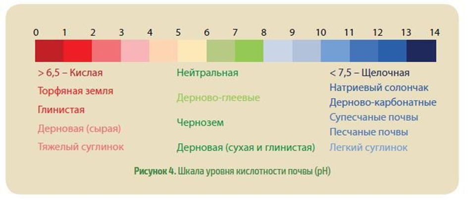 Способы коррекции pH после внесения свиного навоза