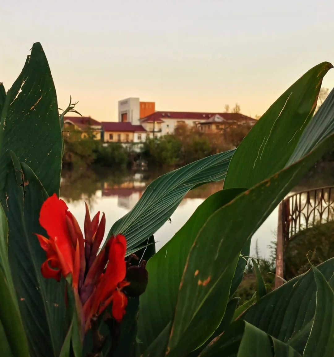 На закате. Риони. Грузия 