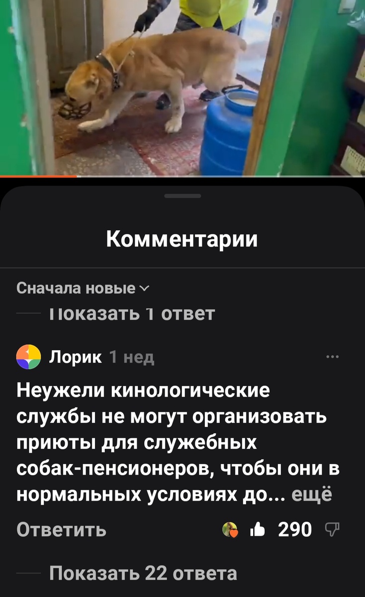 Комментарии Лорик вызвал 22 ответа .