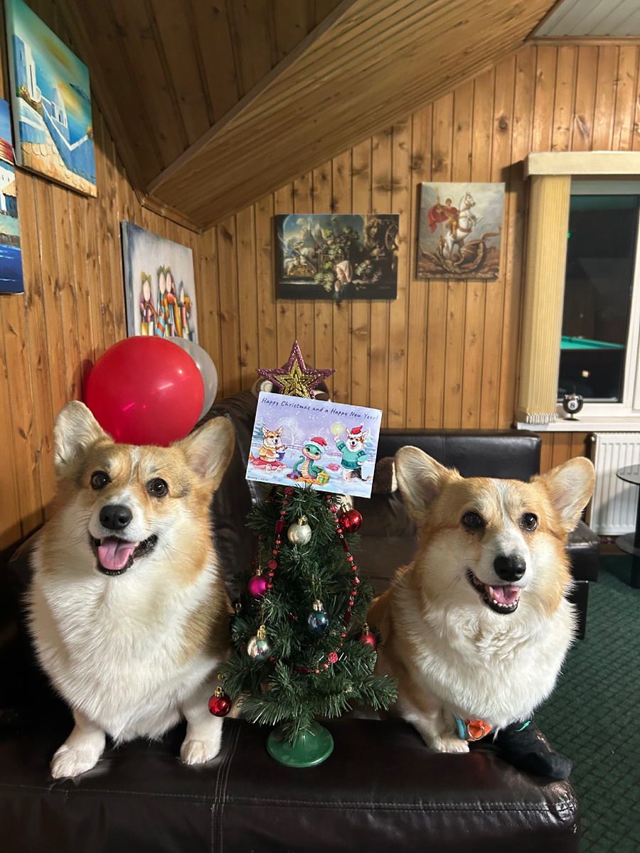 Получили открыточку от друзей из далекой Швейцарии! 💌