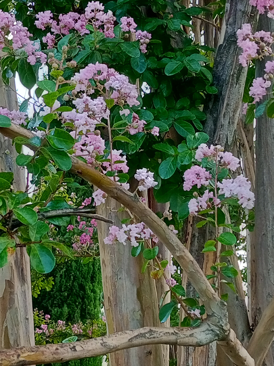 В парке " Краснодар", 2024 г. (  личное фото)