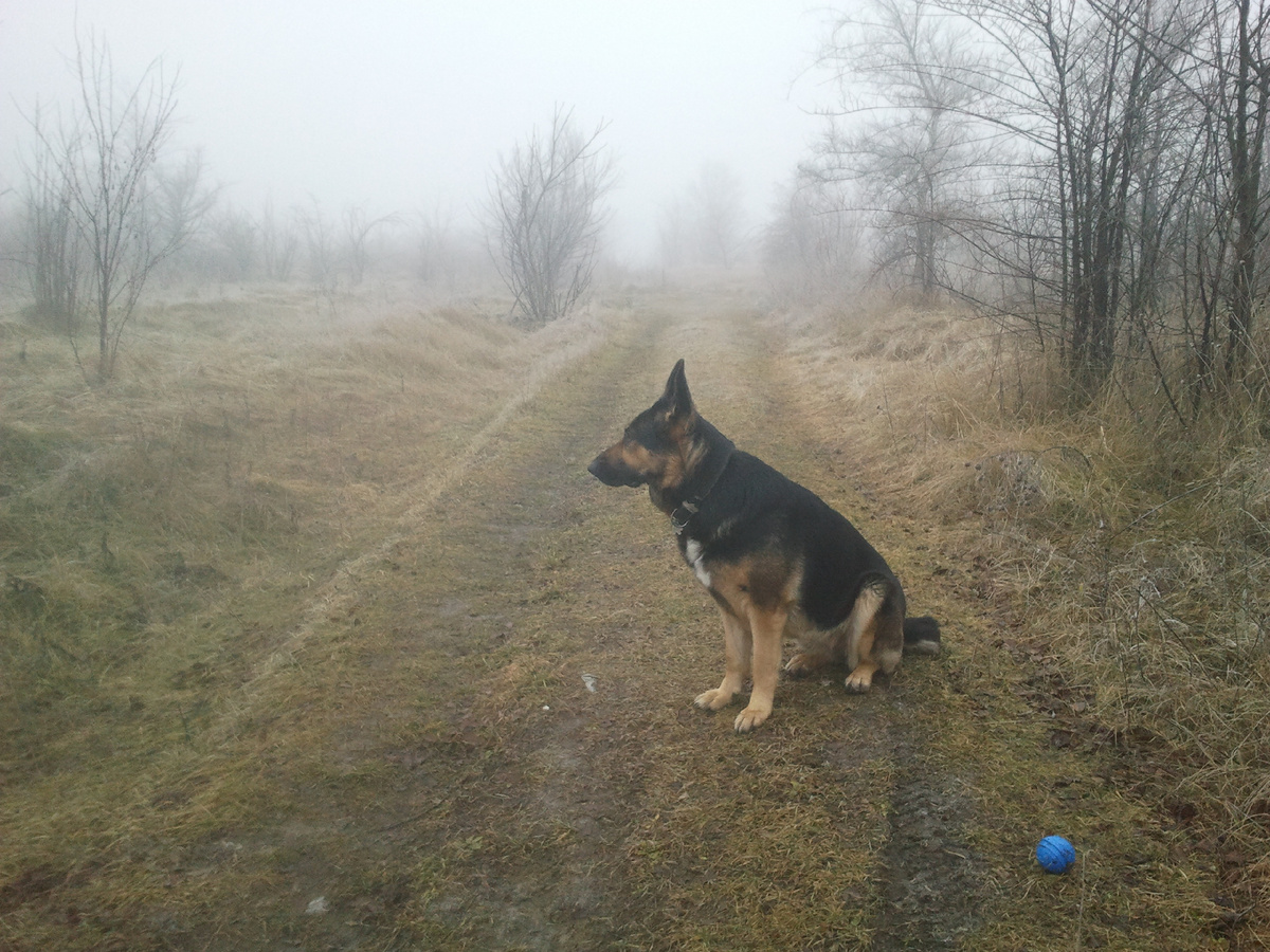 Фото автора