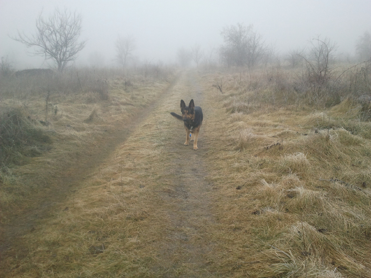 Фото автора