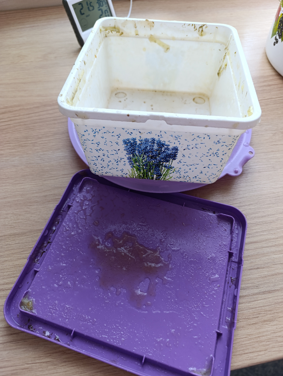 Такой контейнер