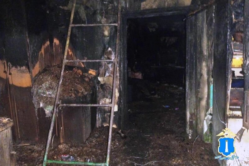    поджог Фото: УМВД по Ульяновской области