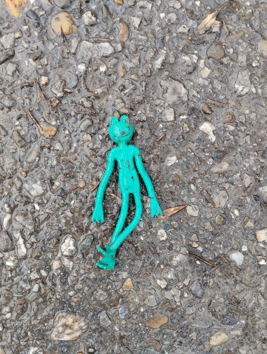 Такого лягушонка нашли сегодня по дороге на работу... Так жалко его