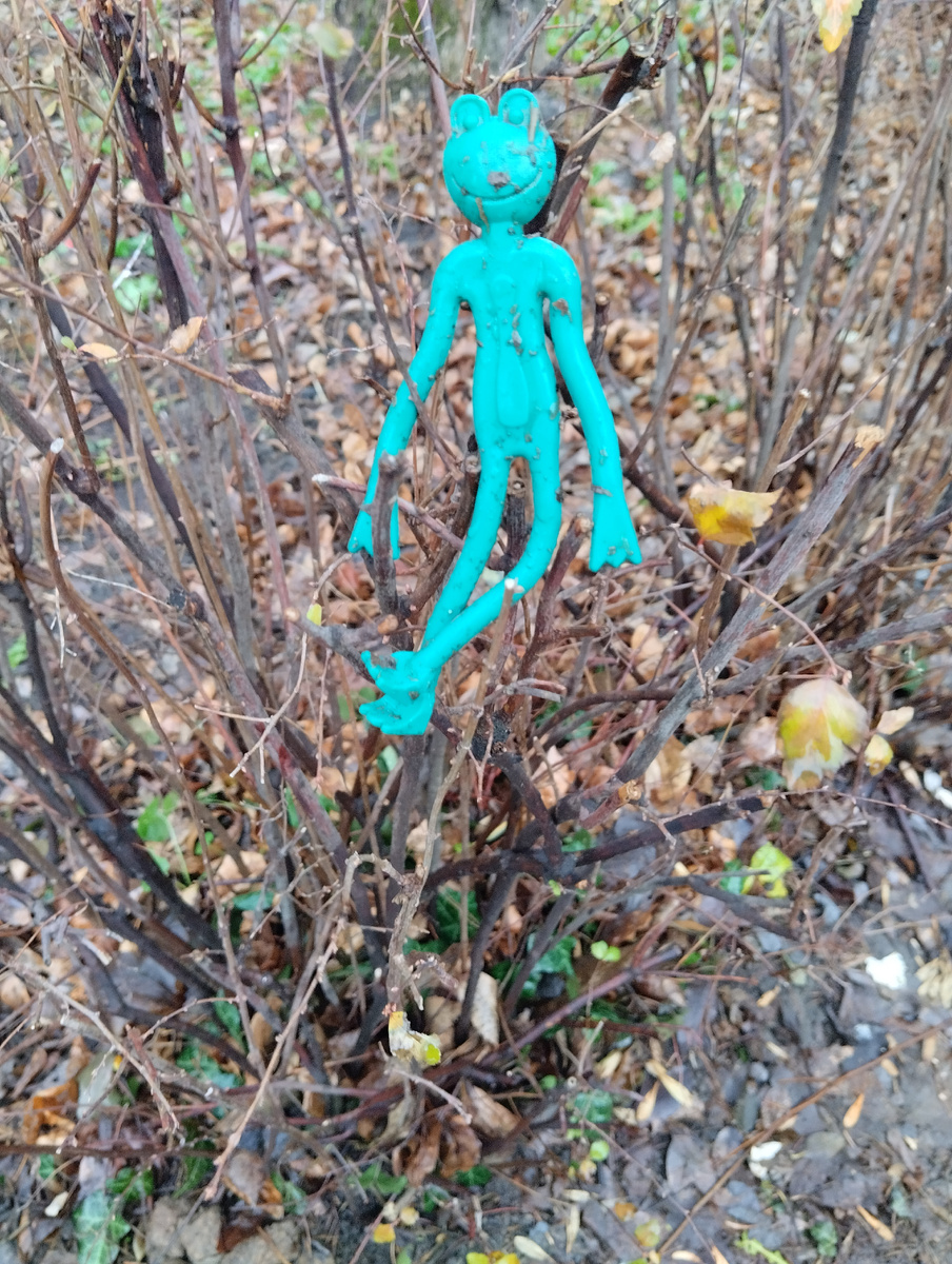 Операция по спасению лягушонка началась. Пока ждёт хозяина на кустарнике. Сегодня схожу и проверю. Если так и сидит - заберу сироту к себе.