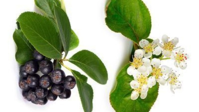 Фото с pinterest.com