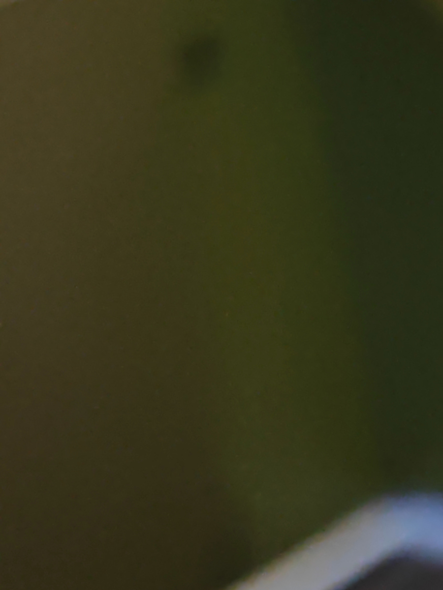 Фото сына автора канала 