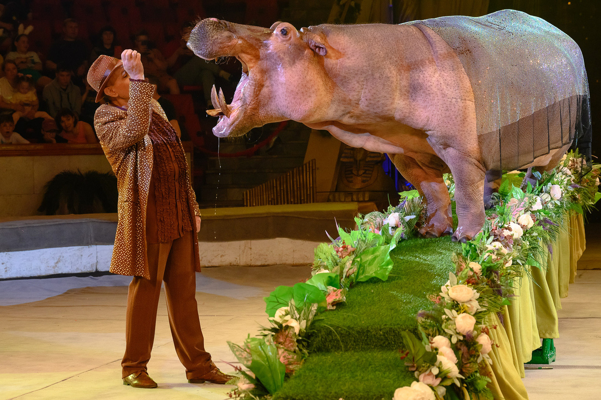 Фото Росгосцирка 