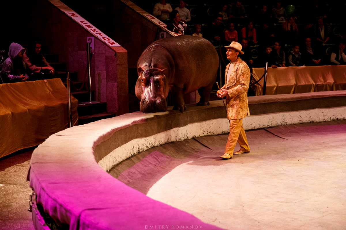 Фото Росгосцирка 