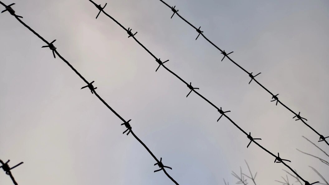    Фото: Maksim Konstantinov/Globallookpress