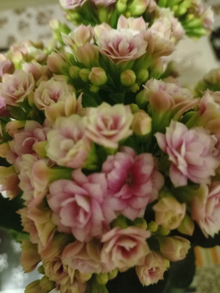 Фото автора канала. 