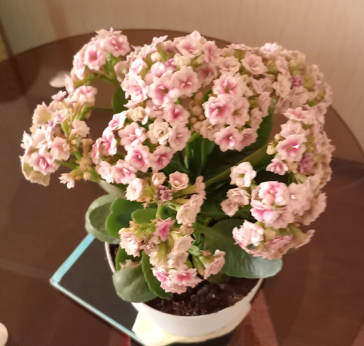 Фото автора канала. 