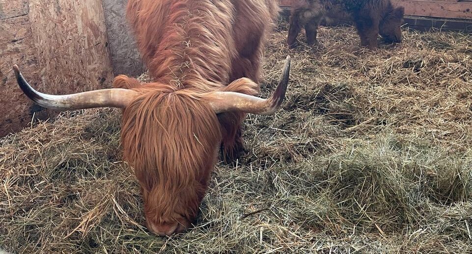    Министерство сельского хозяйства и продовольствия МО
