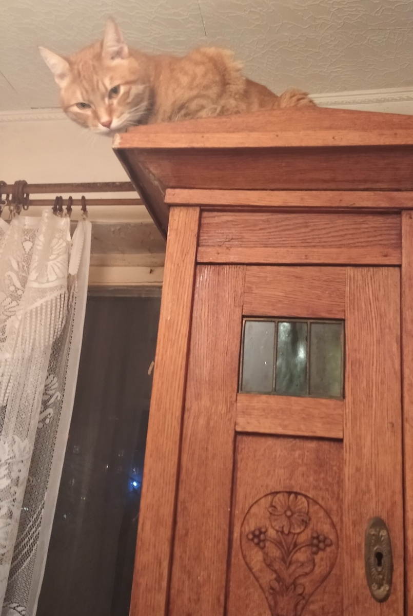 Личное фото