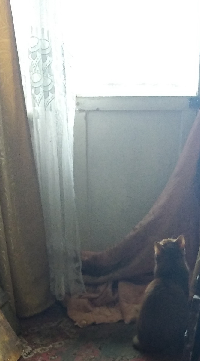 Личное фото.
