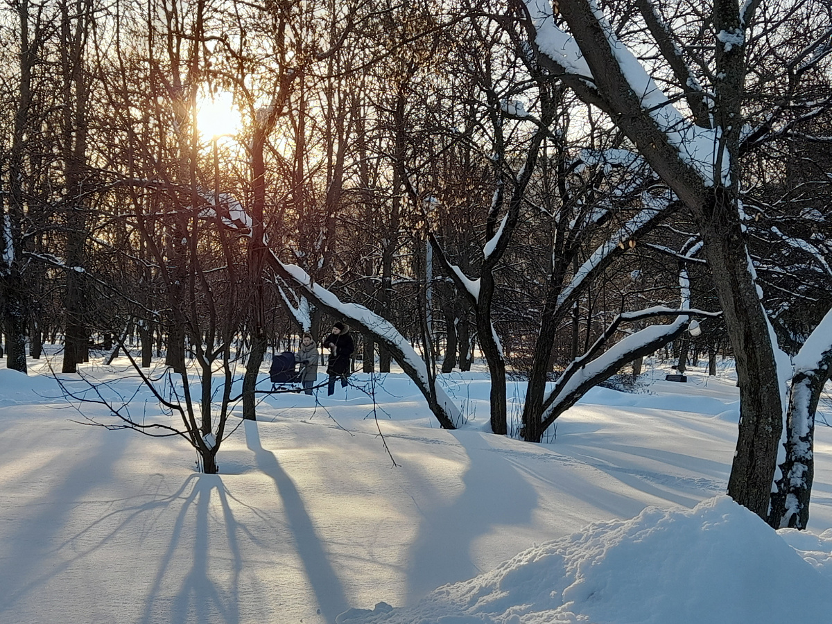 Прошлгодняя (2024) зима в Москве
