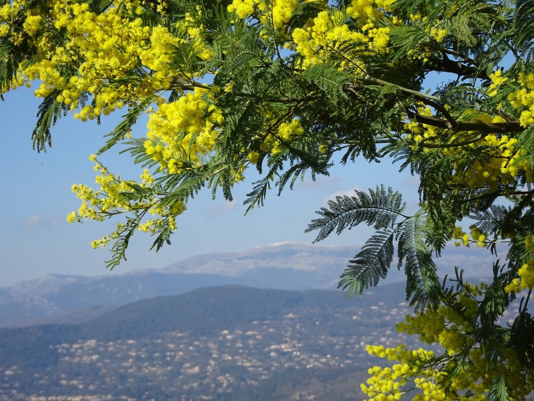 Фото: https://www.livekavkaz.ru/