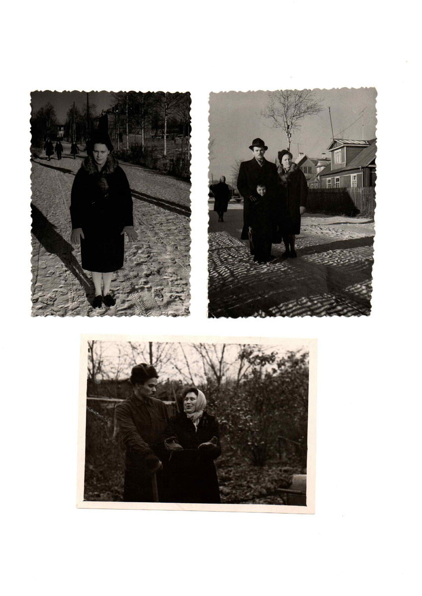 Луизино. Новый Петергоф. 1962/1963 год. Анатолий Анатольевич Бабий, Раиса Александровна Бабий (Сергеева), Евгений Бабий