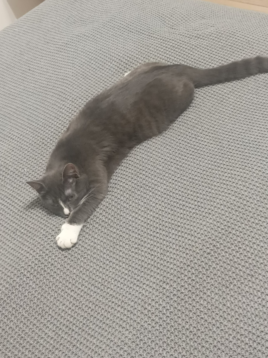 Охотилась на меня, но, почему то уснула))) 