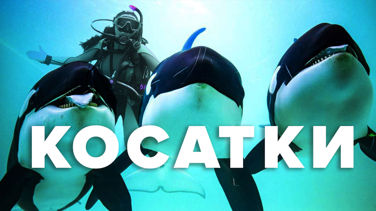 Смотри сфотался типа с дельфинами =)