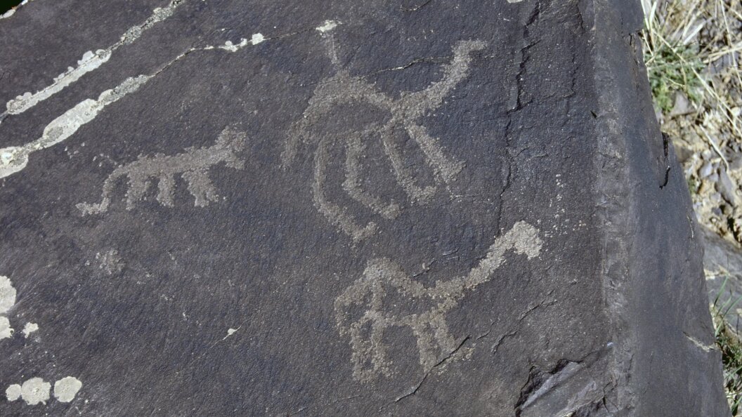    Boris Rezvantsev/Globallookpress