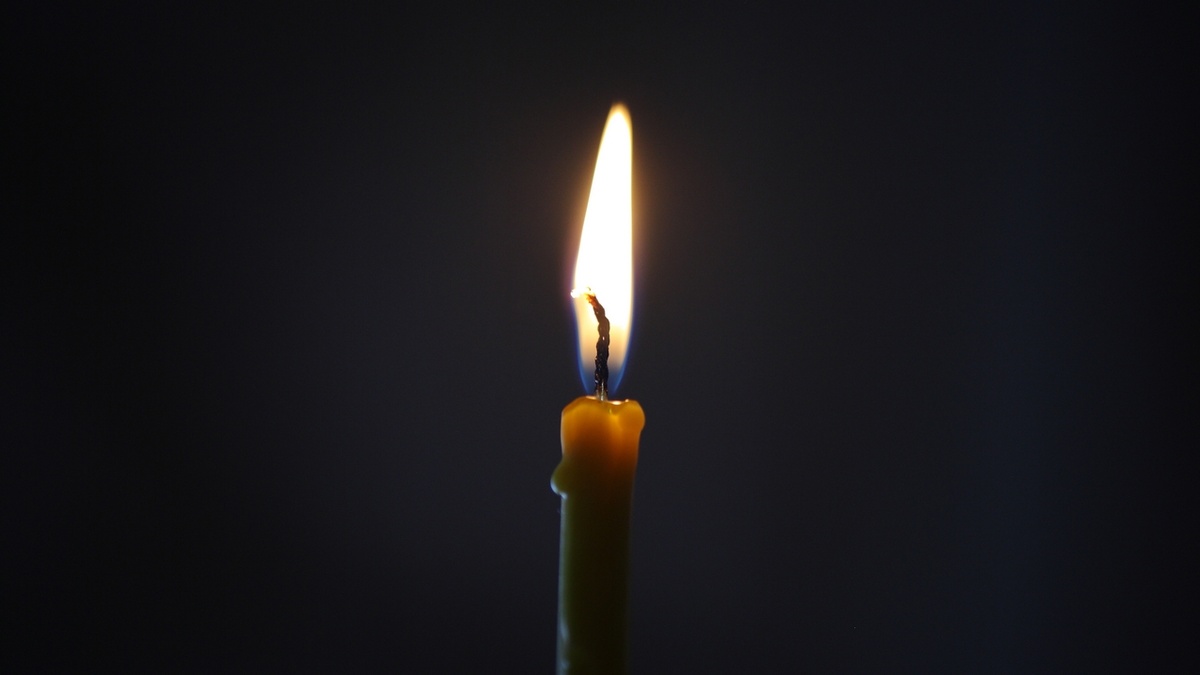     / Источник: Анна Рыжкова © ИА REGNUM