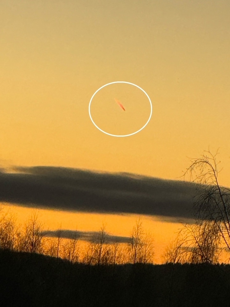 изображение с сайта https://kostroma.mk.ru/