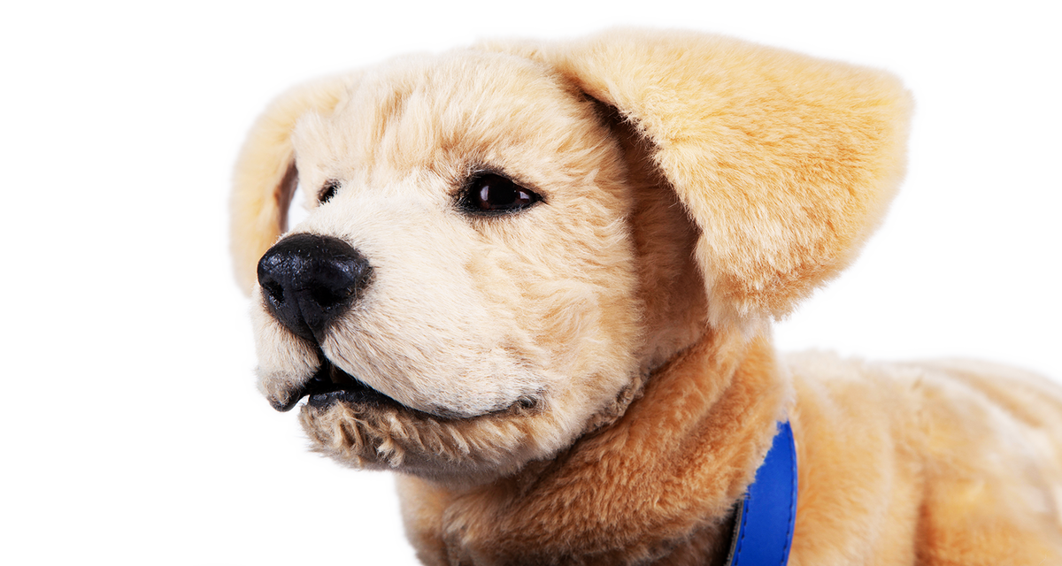 Фото с сайта tombot.com. В конце текста - видео робо-пса