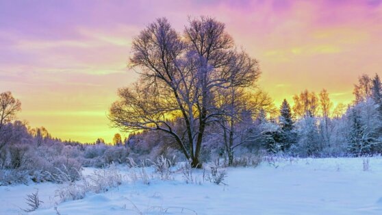    В Западную Сибирь придет оттепель Андрей Галкин