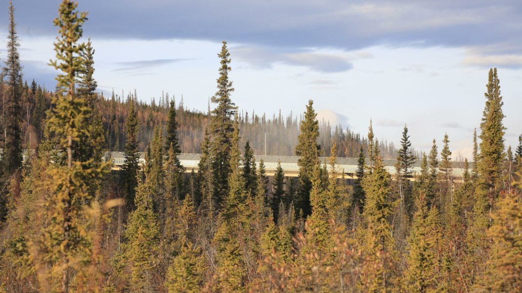    Фото: Konstantin Mikhailov/Globallookpress